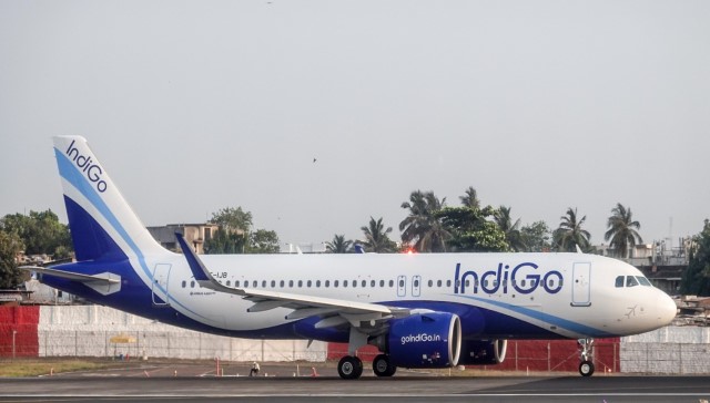 Indigo