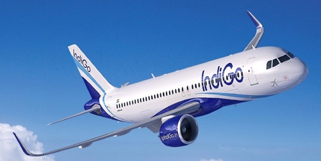 Indigo-1 Indigo