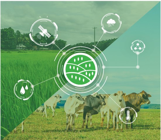 IBISA's Innovative Climate Insurance Solution